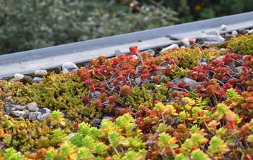 the cost of Upwey green roof installation
