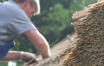 professional Upwey thatchers